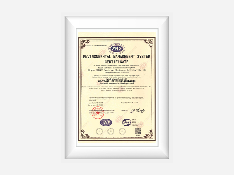 ISO 9001 (Quality Management)