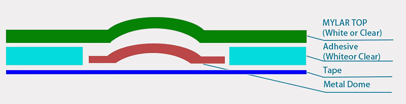 Metal-Dome-Structure